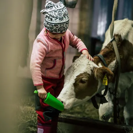 Wagner's Aparthotel Pertisau