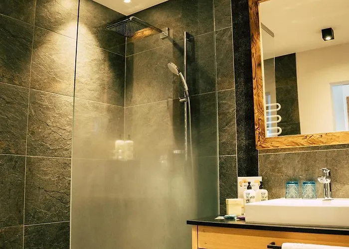 公寓式酒店 Wagner's