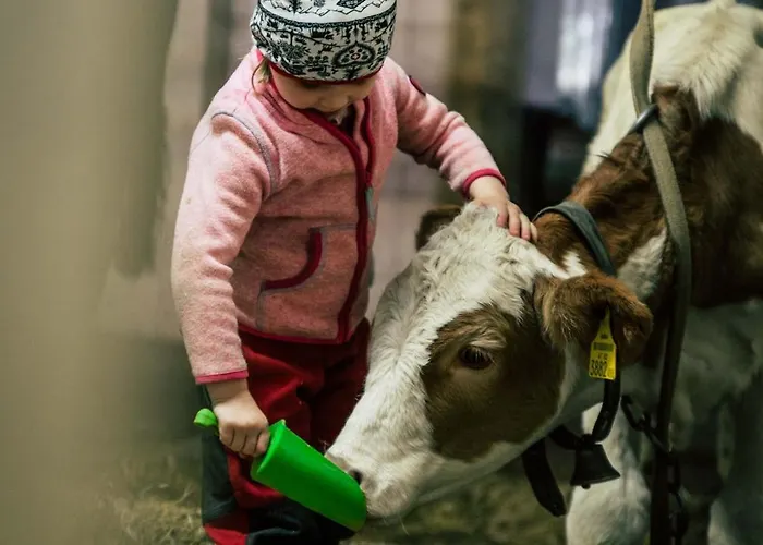 Wagner's Apartahotel Pertisau